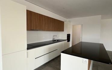 Wohnung 4.5 Zimmer - image - 3