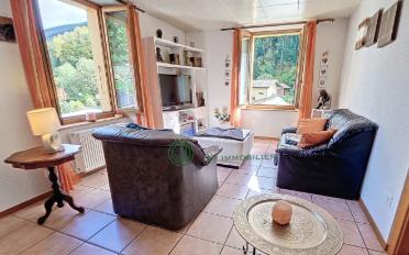 Doppeleinfamilienhaus 10.5 Zimmer - image - 3