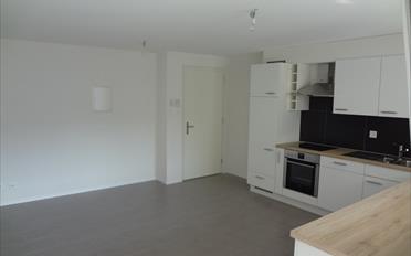 Wohnung 3.5 Zimmer - image - 2