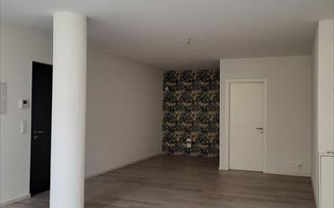 Office 2 rooms - image - 3