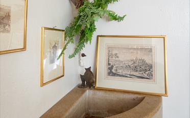 Maison - image - 3