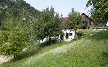 Maison - image - 29