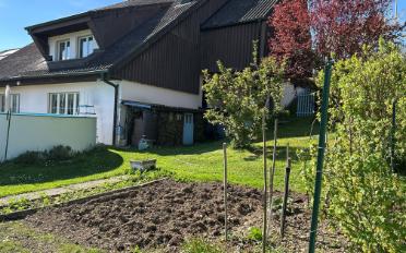 Villa 5 Zimmer - image - 19
