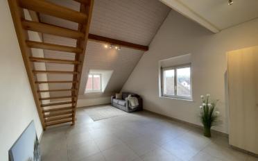 Duplex 5 Zimmer - image - 5