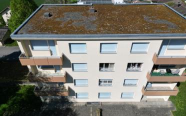 Appartement - image - 4