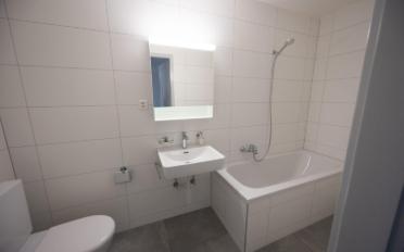 Apartment 3.5 rooms - image - 11