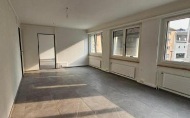 Mixed use property 3 rooms - image - 9