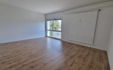 Wohnung 4 Zimmer - image - 5