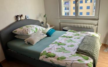 Wohnung 3 Zimmer - image - 13