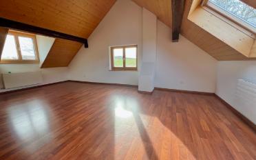 Farm house 12 rooms - image - 7