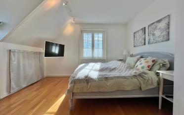 Villa 12.5 Zimmer - image - 11