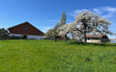 Ferme 5.5 pièces - image - 7