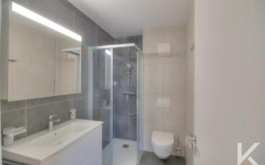 Appartement 4.5 pièces - image - 10