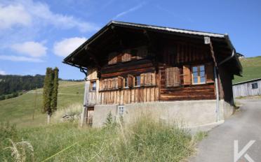 Chalet 4.5 Zimmer - image - 1