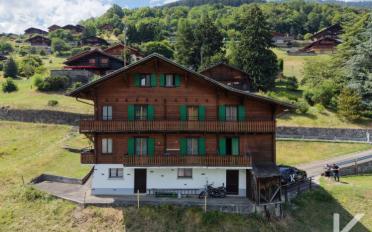 Chalet 11 pièces - image - 1