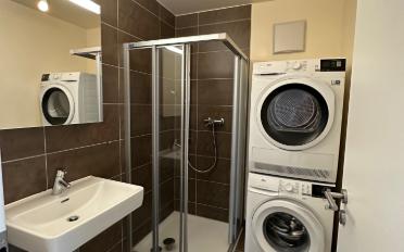 Wohnung 4.5 Zimmer - image - 9