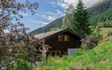 Chalet 7.5 Zimmer - image - 2
