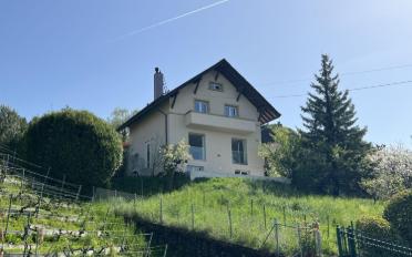 Einfamilienhaus 3.5 Zimmer - image - 5