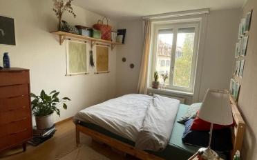 Wohnung 3 Zimmer - image - 4