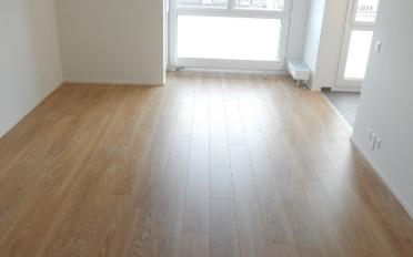 Wohnung ein Zimmer - image - 4