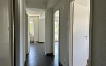 Wohnung 2.5 Zimmer - image - 5