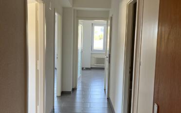 Wohnung 2.5 Zimmer - image - 6