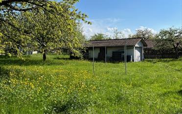 Single house - image - 3