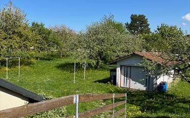 Single house - image - 7