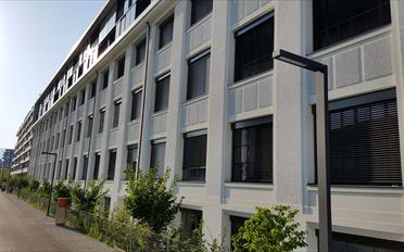 Duplex 7 Zimmer - image - 19