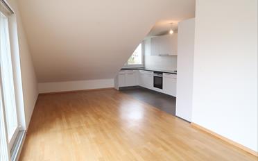 Attic flat 5 rooms - image - 3