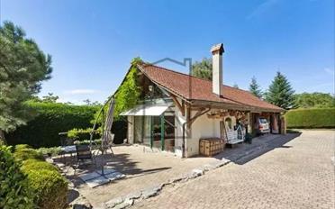 Villa 12 Zimmer - image - 8