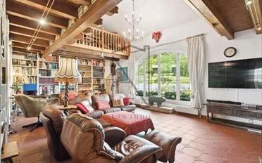 Villa 12 Zimmer - image - 12