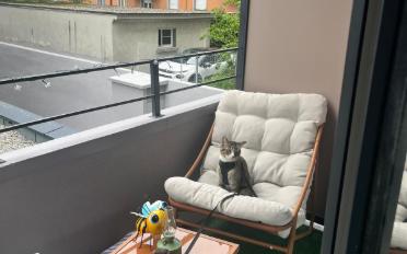 Wohnung - image - 5