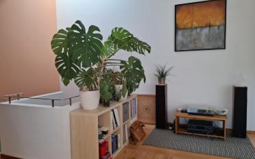 Apartment 5.5 rooms - image - 6