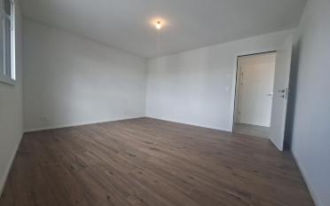 Wohnung 2.5 Zimmer - image - 4