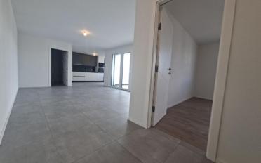 Wohnung 2.5 Zimmer - image - 4