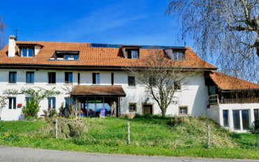 Bauernhaus 12.5 Zimmer - image - 10