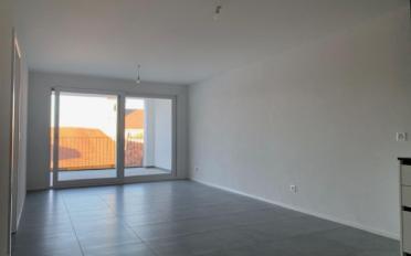 Wohnung 2.5 Zimmer - image - 3