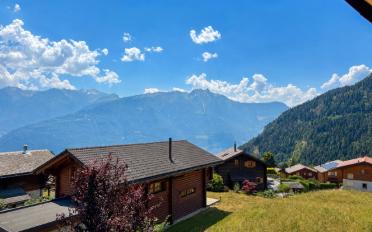 Chalet 5 Zimmer - image - 12