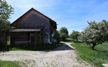 Maison 7.5 pièces - image - 7