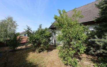 Einfamilienhaus 4 Zimmer - image - 4