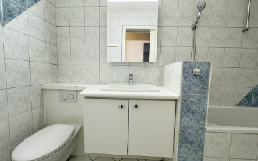 Appartement 4.5 pièces - image - 9