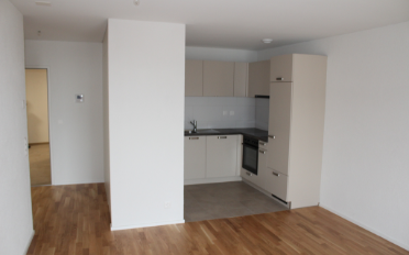 Wohnung 2.5 Zimmer - image - 1