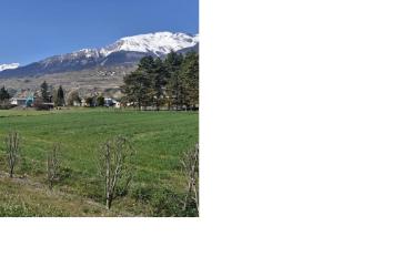 Terrain industriel - image - 2