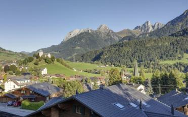 Chalet 9 rooms - image - 2