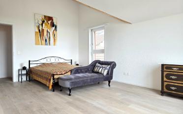 Single house 7.5 rooms - image - 8