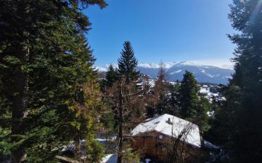 Chalet 8.5 Zimmer - image - 13