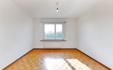 Appartement 2.5 pièces - image - 5
