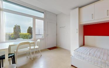 Studio 1 room - image - 3