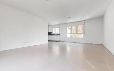 Appartement 3.5 pièces - image - 4